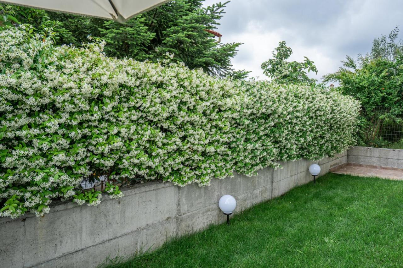 Veria Panorama Luxury Suite With Garden 2 Kültér fotó